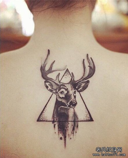 ������¹����ͼ��