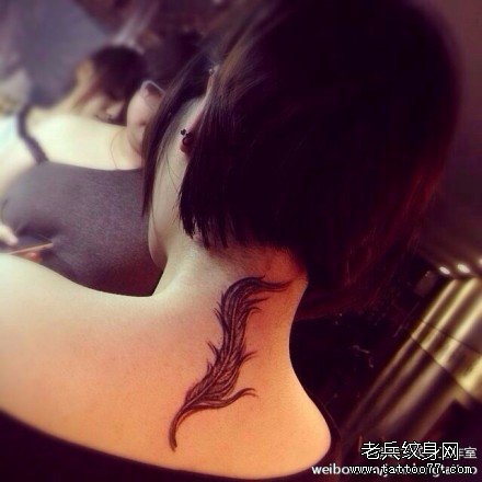 ����ë����ͼ��