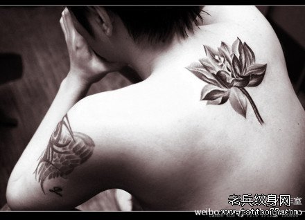 荷花花纹身内容图片分享