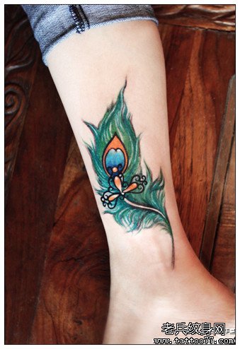 �Ȳ���ȸ��ë����ͼ��