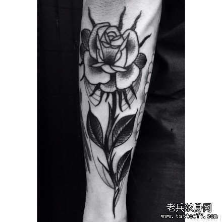 �Ȳ���õ������ͼ��