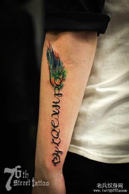 �ֲ�Ӣ������ë����ͼ��