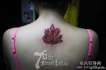 �󱳺컨����ͼ��