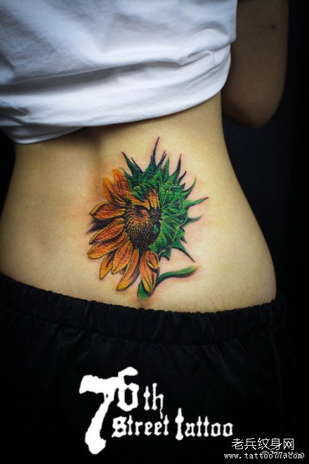 �����տ�����ͼ��