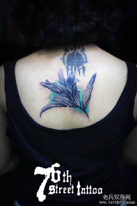 �󱳻�����ͼ��