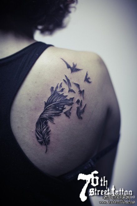 ����ë����ͼ��