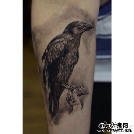 �Ȳ���ѻ����ͼ��