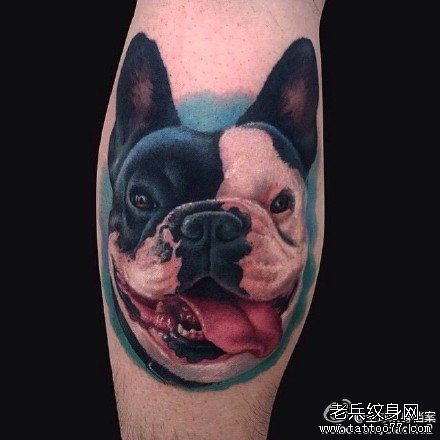 �Ȳ���ţ����ͼ��