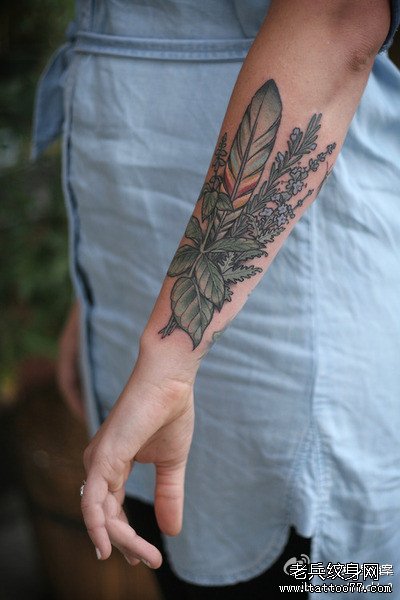 �ֱ���ë����ͼ��