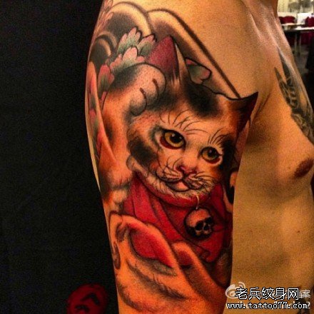 �ֱ�è����ͼ��