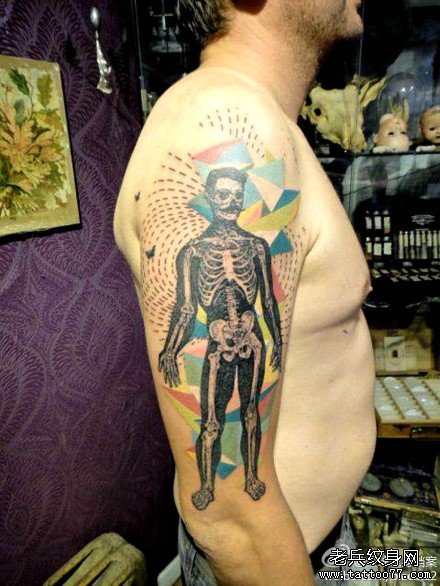 �첲������������ͼ��