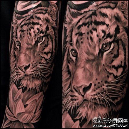 �ֱ��ϻ���������ͼ��