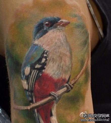 �ֱ۲�������ͼ��