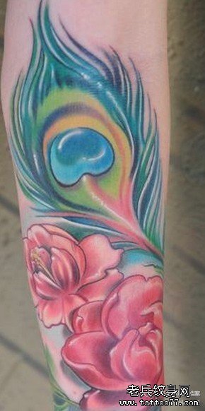 �ֱ��ȿ�ȸë����ͼ��