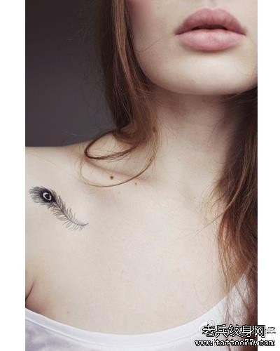 �ز���ë����ͼ��