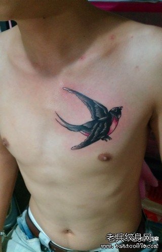 �ز�С������ͼ��