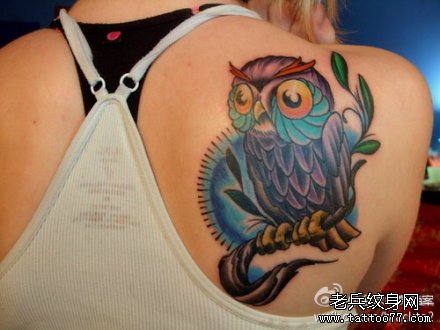 ��èͷӥ��ͨ����ͼ��