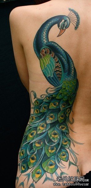 �󱳿�ȸ����ͼ��