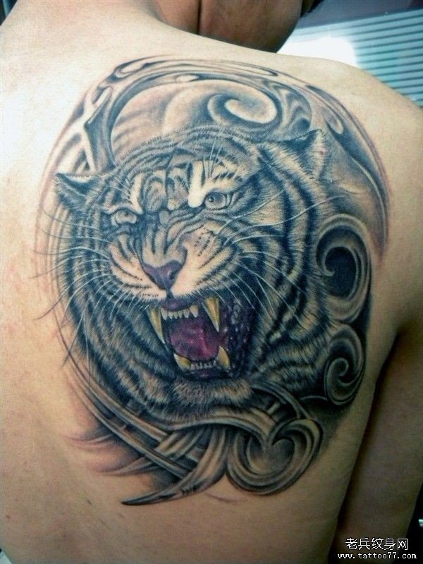 象征凶猛和敏捷老虎纹身和老虎纹身图案图片的讲究