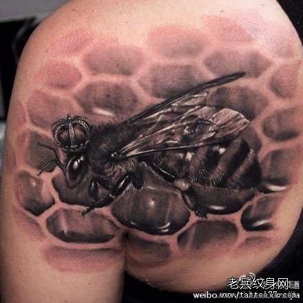 ����������ͼ��