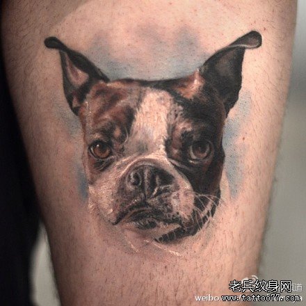 �첲С������ͼ��