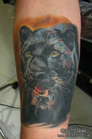 黑豹纹身的说法及讲究