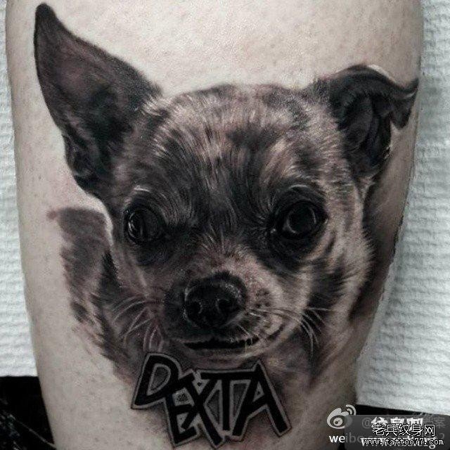 狗纹身的说法及讲究