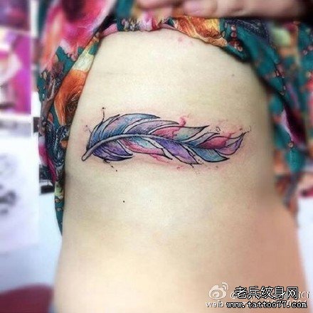 ��ë����ͼ��