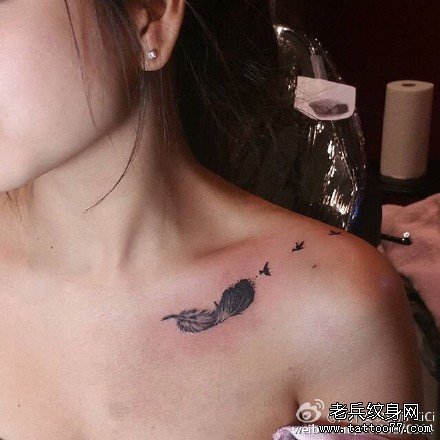 �ز�����ë����ͼ��