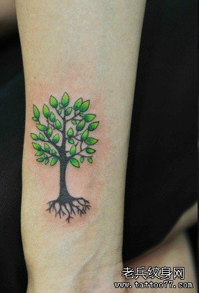 �ֱۺ���Ҷ����ͼ��