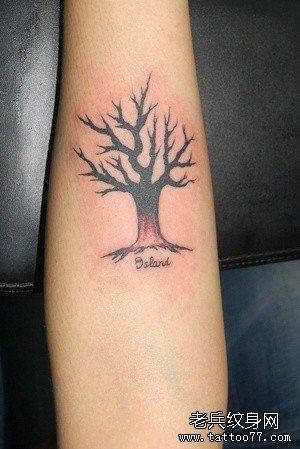 �ֱۺ���Ӣ������ͼ��