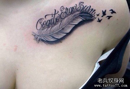 �ز���ë����ͼ��