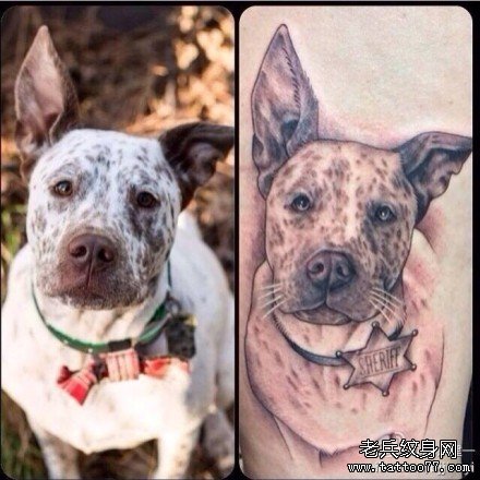 ������ͼ��