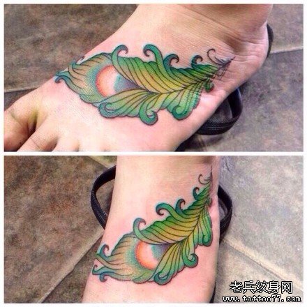 �Ȳ�����ë����ͼ��