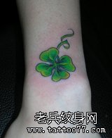 幸运草纹身图案小纹身大意义