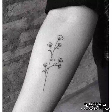 �ֱ��߻�����ͼ��