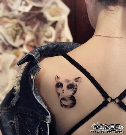 ����è����ͼ��