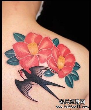 �����ӻ�����ͼ��