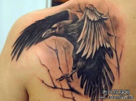 ����ѻ����ͼ��