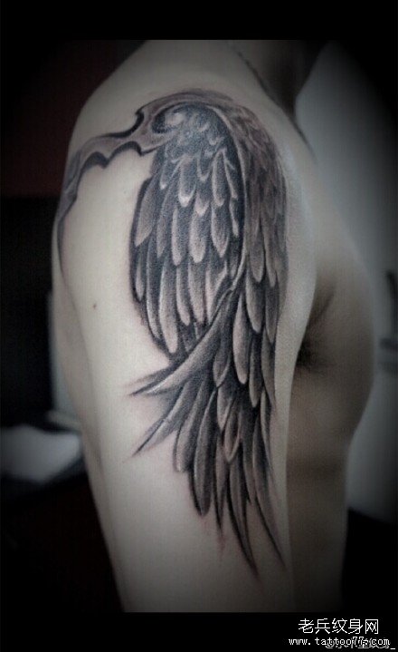 �첲�ڴ���ë����ͼ��