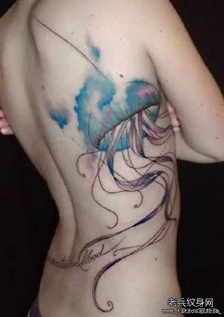 ����ˮĸ����ͼ��