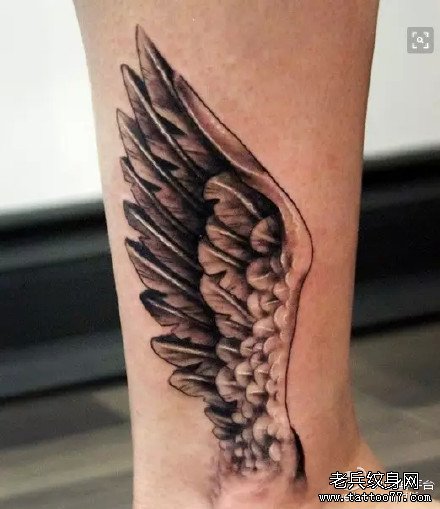 �Ȳ���ë����ͼ��