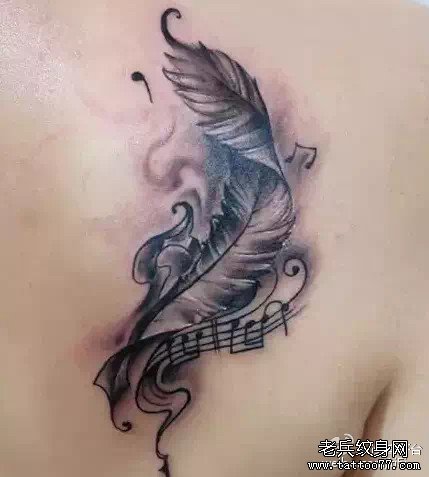 ��������ë����ͼ��