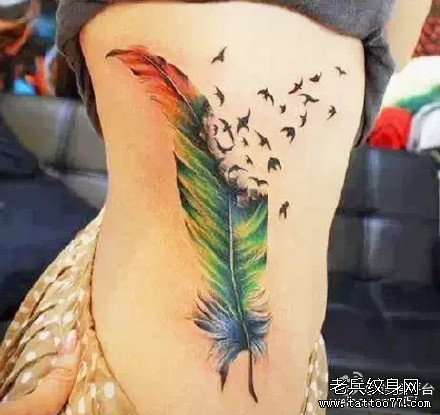 ����ë����ͼ��