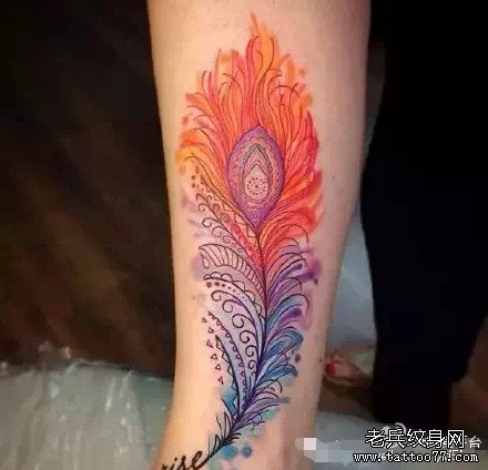 �ֱ���ë����ͼ��