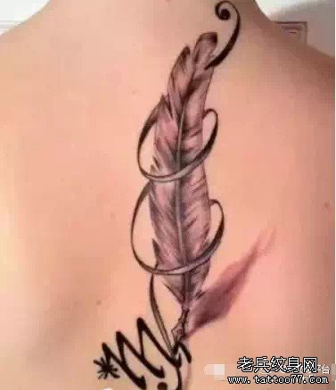 ����ë����ͼ��