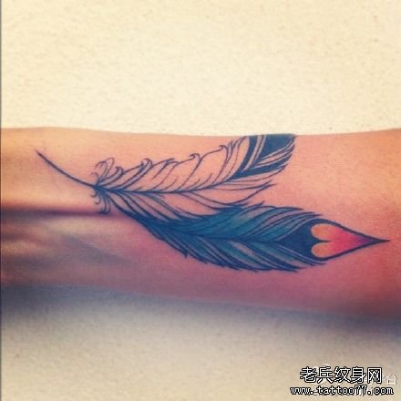 �Ȳ���ë����ͼ��