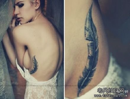 ����ë����ͼ��