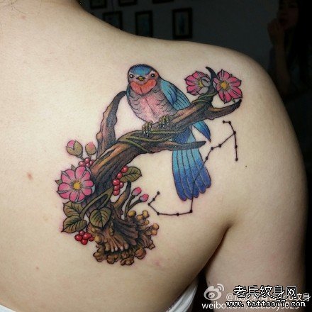 ��С��������ͼ��