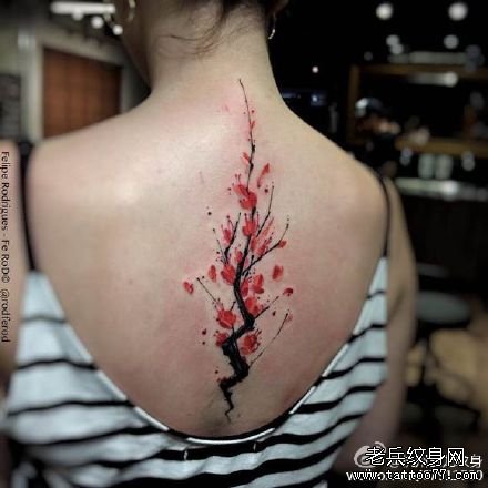 �󱳺�ۻ�����ͼ��